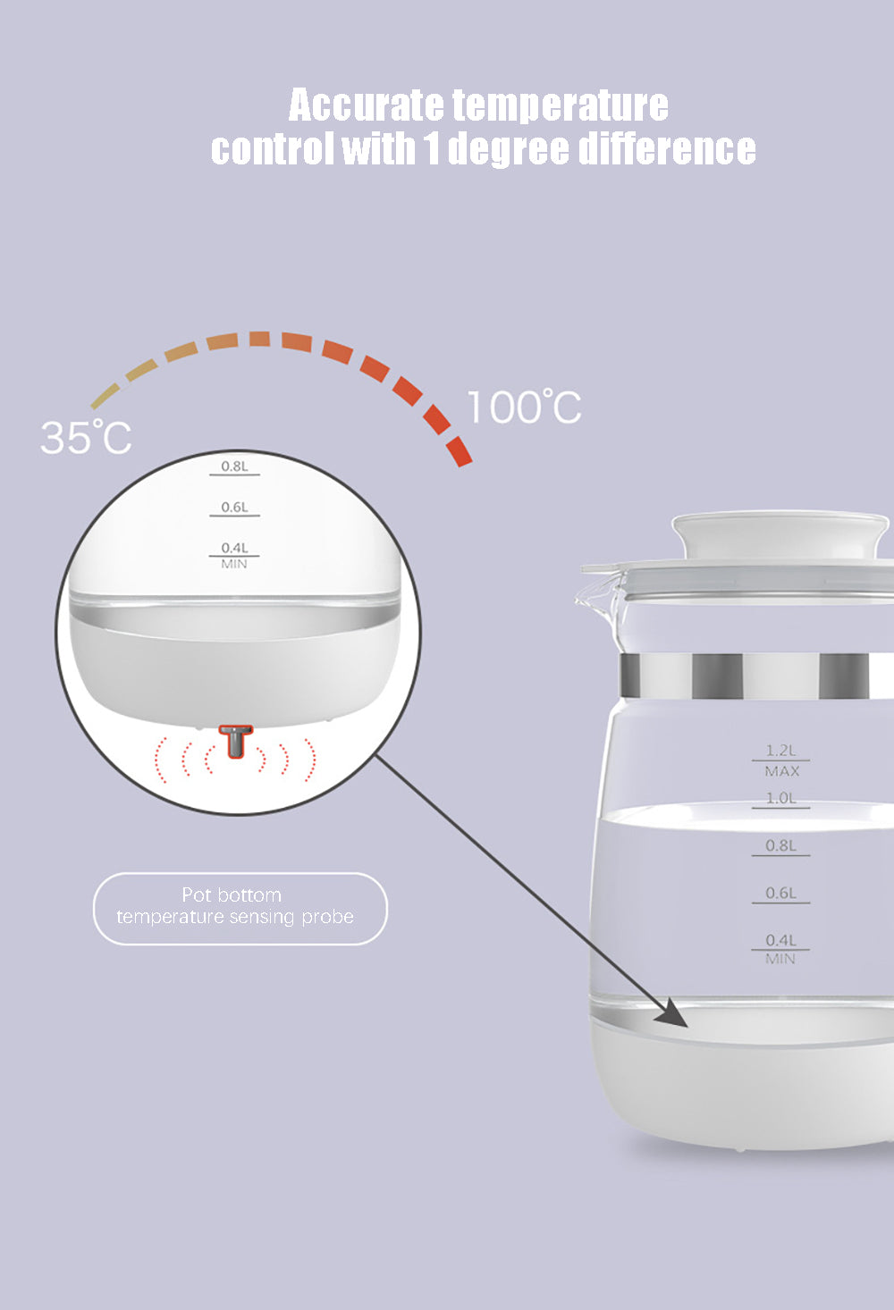 Electric Water Kettle