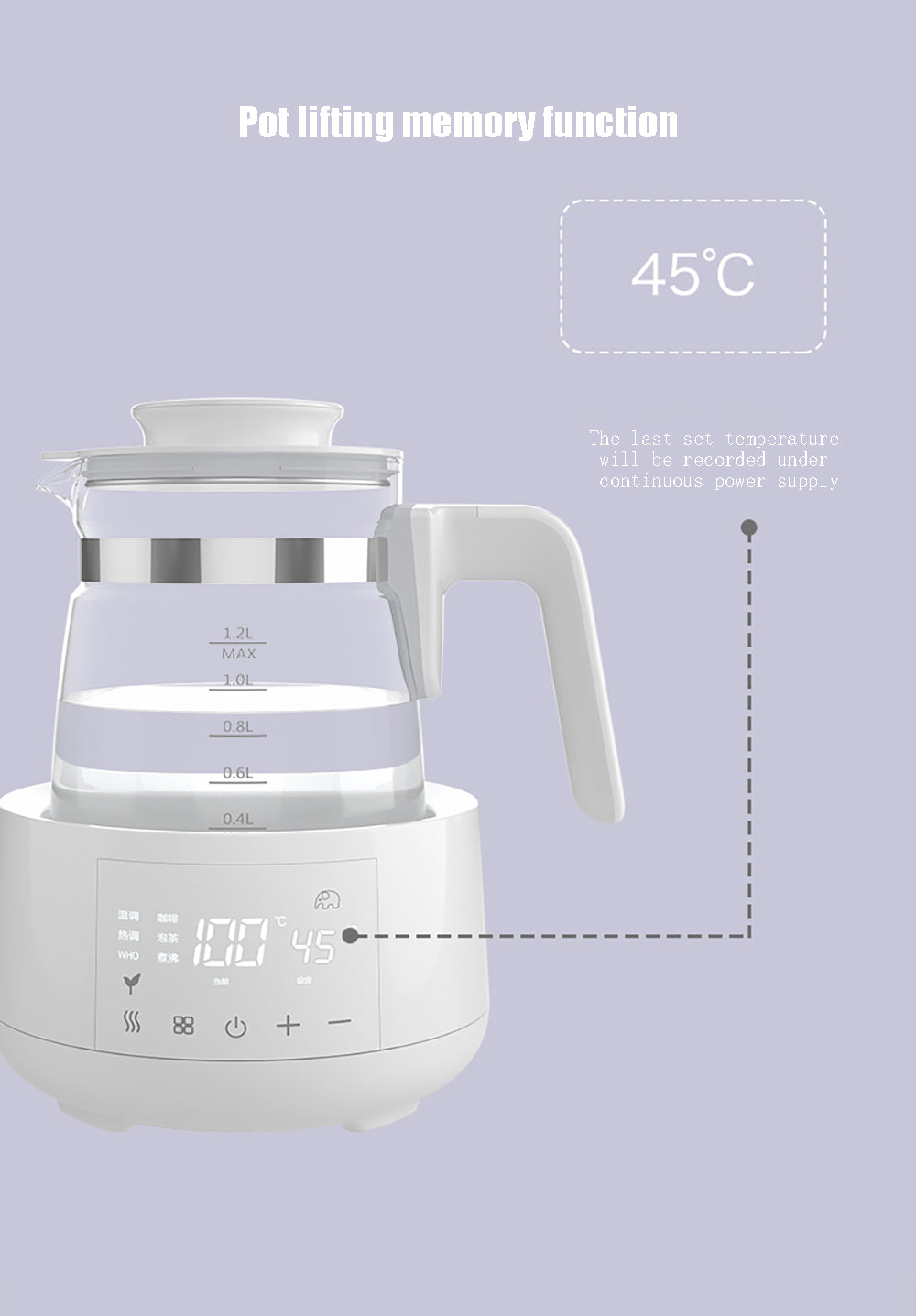 Electric Water Kettle